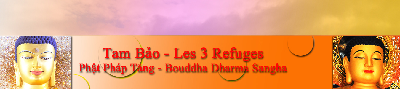La voie du Bouddhisme – Con đường Phật Pháp