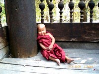 Samedi 10 Mai : Rencontre et pratique avec le bouddhisme
