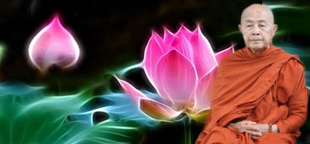 Đại lão Hòa thượng Thích Hộ Giác viên tịch