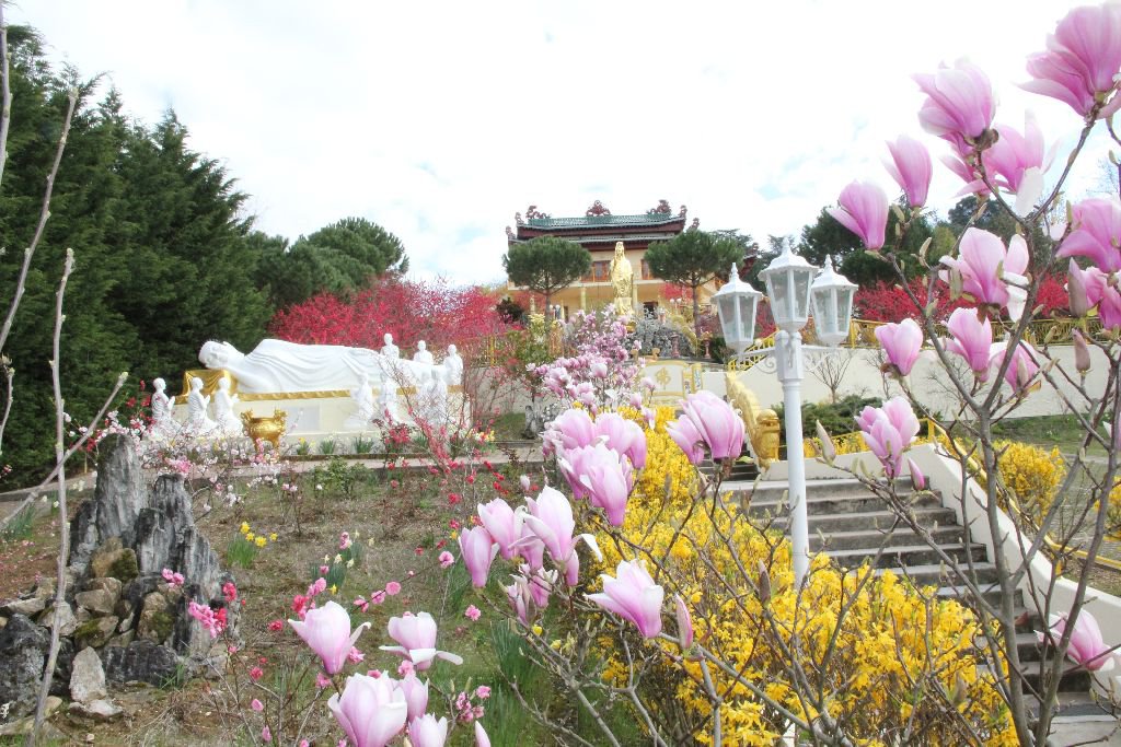 Samedi 31 Janvier 2015 : Visite guidée du temple de 14h00 à 16h00